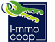 I-MMOCOOP