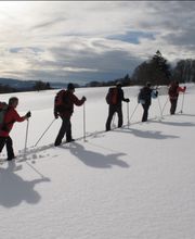 Mermet Equip'Fond image 8