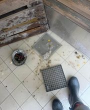 Dbassainissement image 2