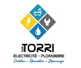 Torri image 3