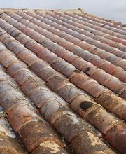 Poumeyrol Teddy image 4