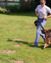 Hundesport für jedes Alter.