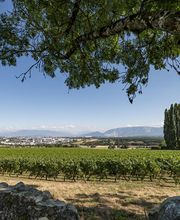 Domaine de Choully Bild 4