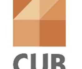 Cub image 2