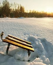 Garden Performance Bild 1