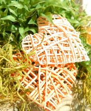 Haushaltshilfe-Bielefeld Bild 1