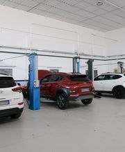 Gallery Professionale