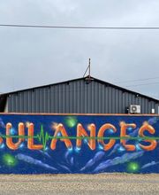 Ambulances 2000 image 17