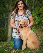 Crosslake Veterinary Hospital image 6