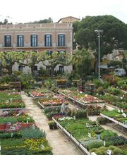 garden-arenas-interior-02.jpg