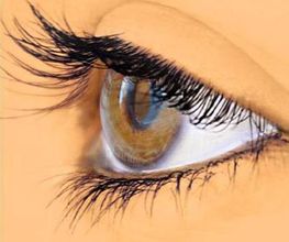 He-Optik GmbH Bild 9