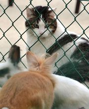 Résidence La Girarde Bild 10