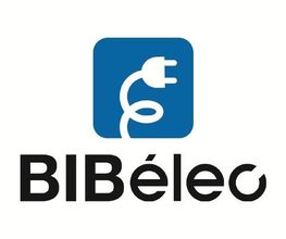 Bibelec image 12