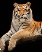 Tierpark Nadermann Bild 1