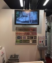 Superga 9 Alassio immagine 11