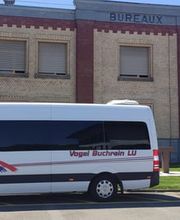 Carreisen + Taxi Vogel Bild 9