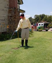 Pied Piper Pest, Termite & Lawn Service image 17
