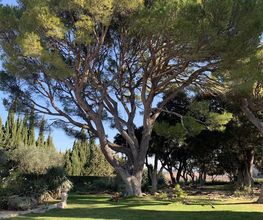 LB Paysage image 6