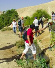 terra sancta tours ag Bild 4