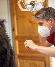 Kleintierpraxis DOCPOX Hannover Bild 8