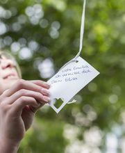 Stübinger Bestattungen Bild 2