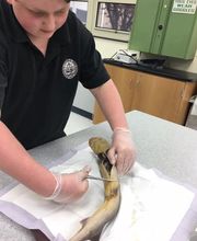 Paramus Catholic High School image 6