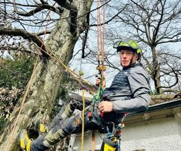 Patrick Weihe Baum + Garten Bild 1