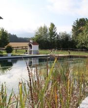 Pohl GÄRTEN GmbH Bild 8