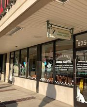 Caring Hands Animal Hospital - Rockville image 4