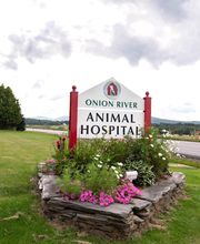 Onion River Animal Hospital image 19
