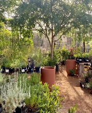 Dig It Gardens image 2