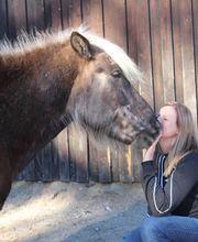 Nicola Annaberger, Pferdeosteopathie Oberland, Pferdephysiotherapie Oberbayern, Pferdeosteopathie Oberbayern, Osteo Pferd Bild 2