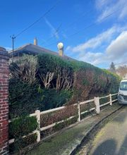 Le Petit Paysagiste image 14