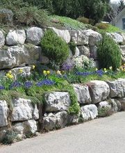 Aeberli Andy Bild 13