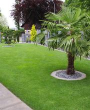 Ribi Gartenbau GmbH Bild 10