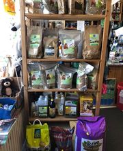 Zoopalästchen Bild 15