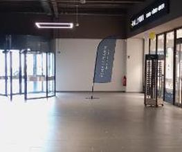 Hallmann Optik Bild 12