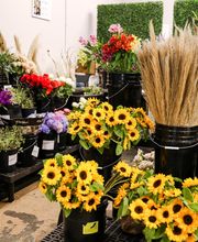 In Bloom Florist image 6