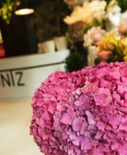 FOTO-huntz-3.jpg