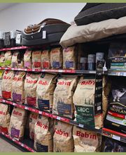 Jardinerie Pontier et Fils Ets image 11