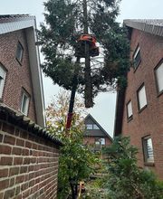 Forst- und Baumdienst Pels Bild 4