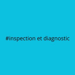 GM Inspection Diagnostic