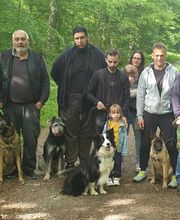 Amis Dogs 76 image 15