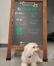 Bedford Oaks Family Vet image 17