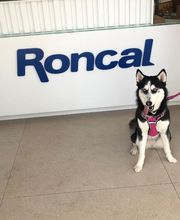 Clínica Veterinaria Roncal - Pilas imagen 12