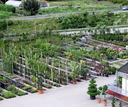 Schober Giardini Bild 1