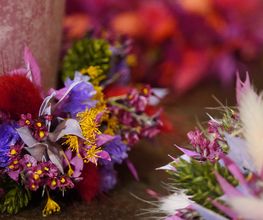 Blumensaison Bild 8
