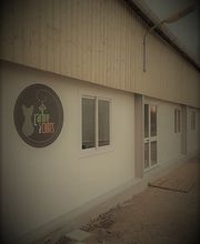 L'Arbre à chats - Pension pour chats image 5