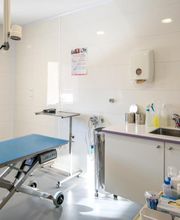 Clinique vétérinaire de Saint-Affrique - Sevetys image 12