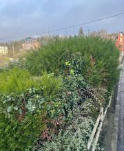 Le Petit Paysagiste image 15